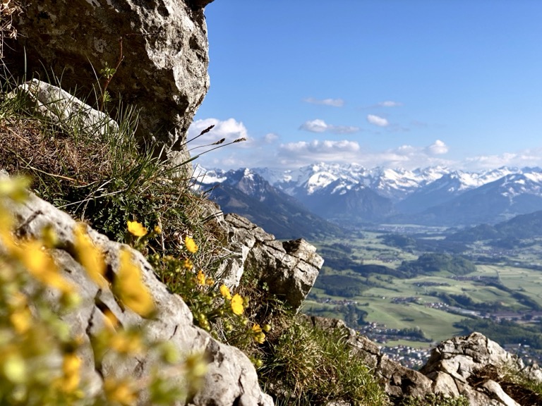 Blick ins Allgäu mit Bergen